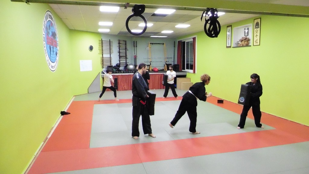 Taiho Jutsu class training in Brussels