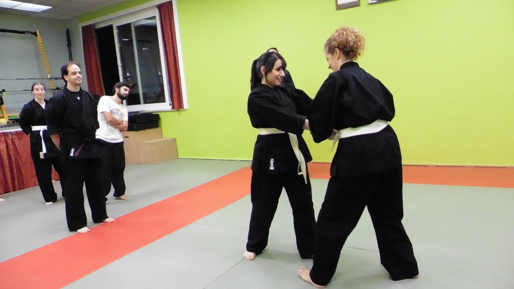 Partner drill during a Taiho Jutsu class